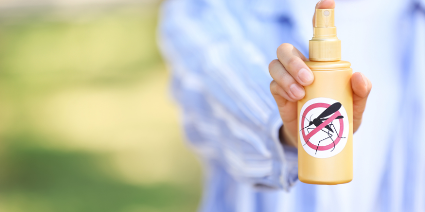 6 начина за предпазване от ухапвания от комари